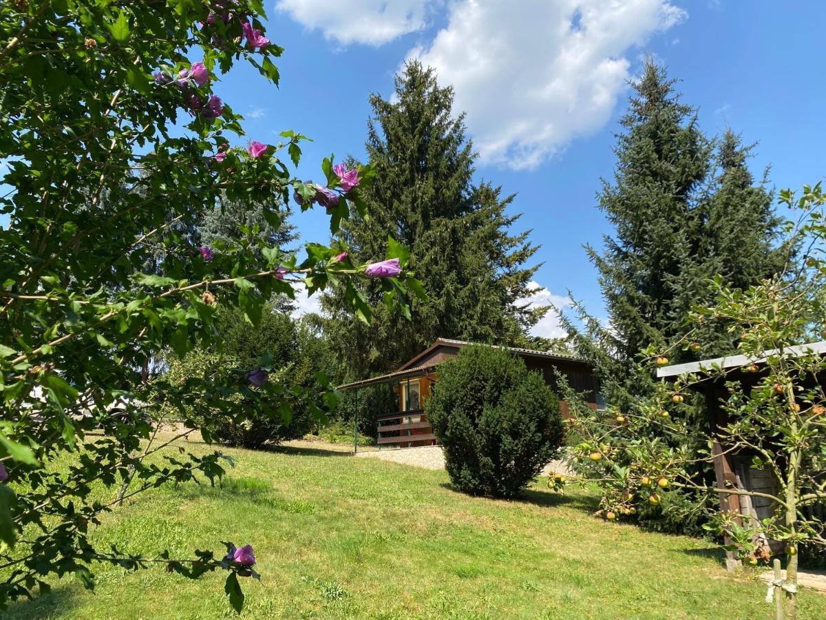 Waldfrieden Bungalow Garnsdorf Exterior photo